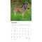 BrownTrout; Baby Animals | 2027 12 x 24 Inch (Hanging) Monthly Square Wall Calendar | Plastic-Free; Category:Wall Calendars; Image:4